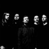 Allegaeon