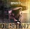 Brushy One String