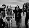 Carcass