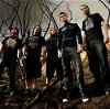 Carnifex