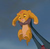Der König der Löwen