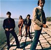 Dr. Feelgood