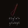 Ezginin Günlügü