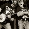 Hayseed Dixie