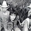 Hickoids