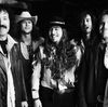 Hippies And Cowboys