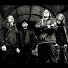 Jungle Rot