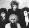 Missing Persons