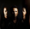 Muse