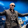 Pitbull