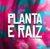 Planta E Raiz