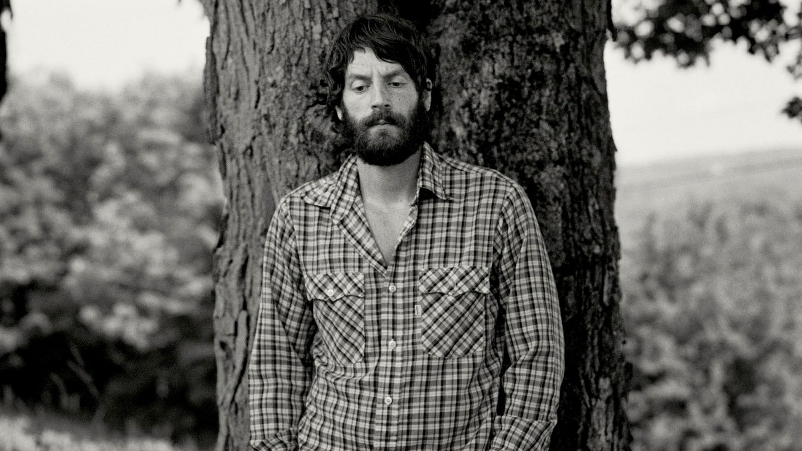 Ray LaMontagne