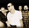Social Distortion