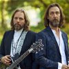 The Black Crowes