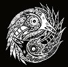The Black Feathers