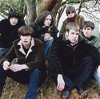 The Coral