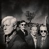 The Fleshtones