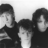The Icicle Works