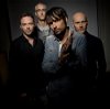 The Pineapple Thief