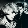 The Primitives