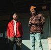 Young Bull